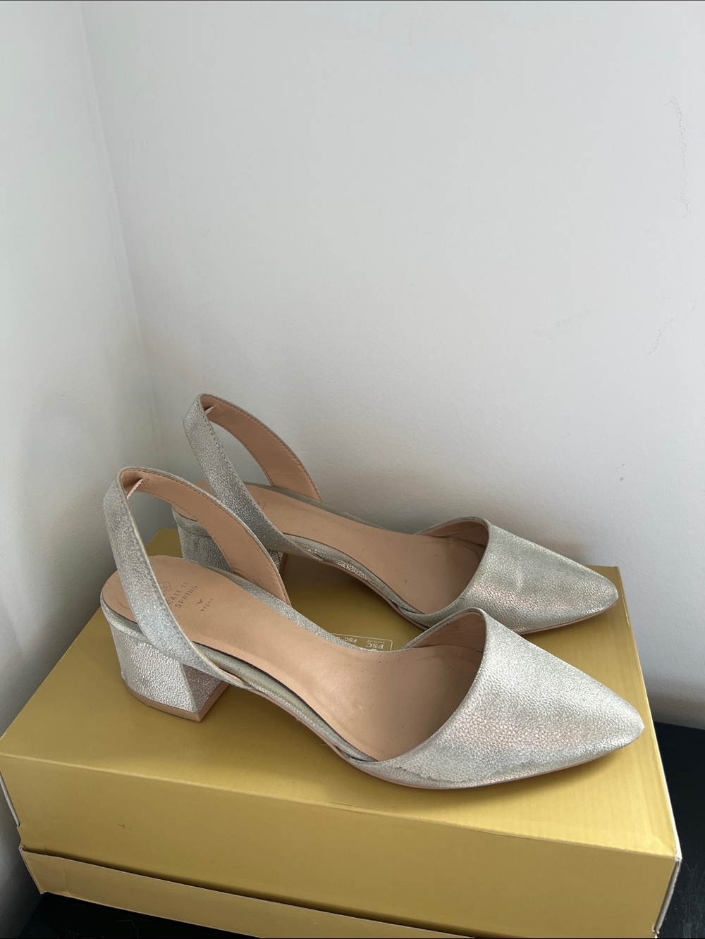 Call It Spring Silver Pointed Slingback Flats with Subtle Sheen